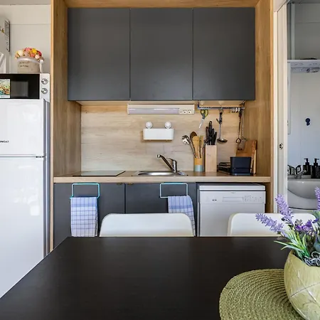 Tatil Evi Maslina Delux By Interhome *