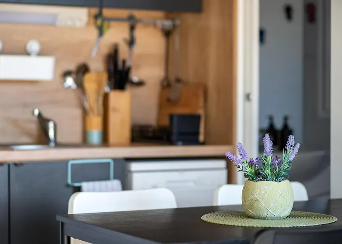 Casa vacanze Maslina Delux By Interhome *